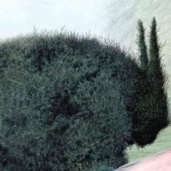 Meet your Posher, Ana - Picture 1 of 1